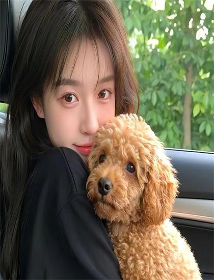 伤害有哪些精彩看点？亮点情节详细经济解析